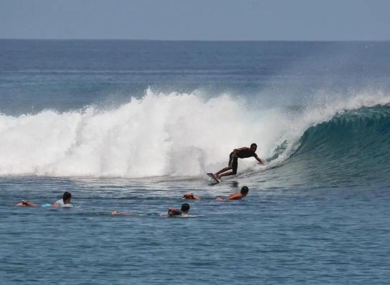 هتل Avanti Surf & Stay