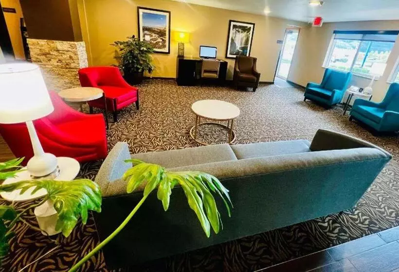 ホテル Comfort Inn