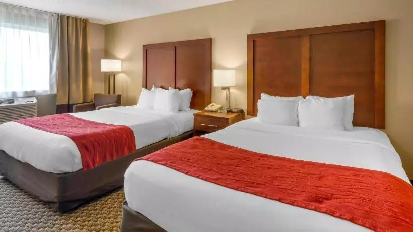 ホテル Comfort Inn