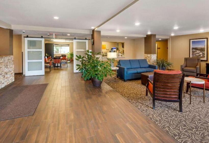 בית מלון כפרי Comfort Inn