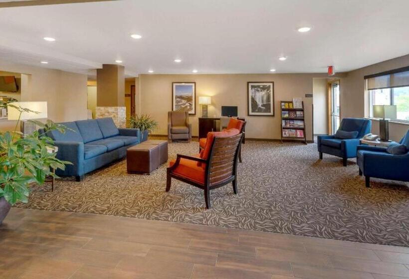 בית מלון כפרי Comfort Inn