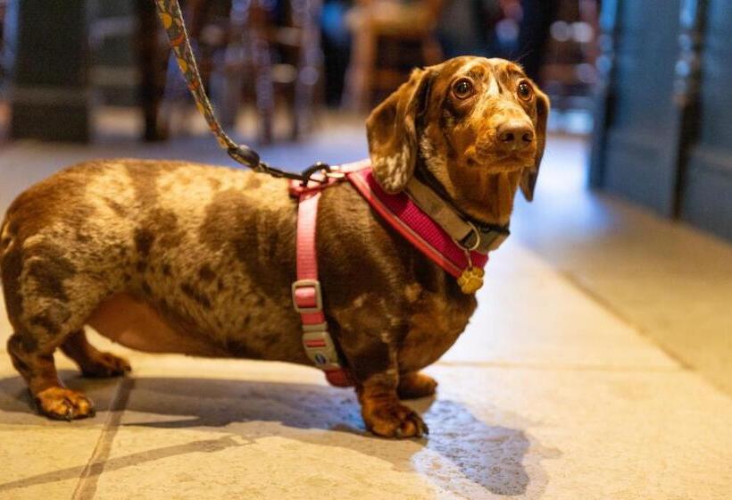 ホテル The Kings Arms