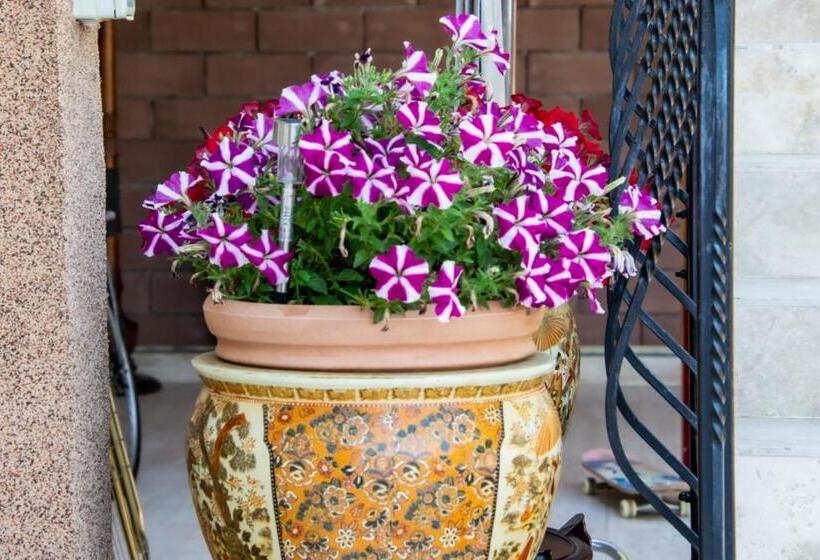 پانسیون Casa Livia