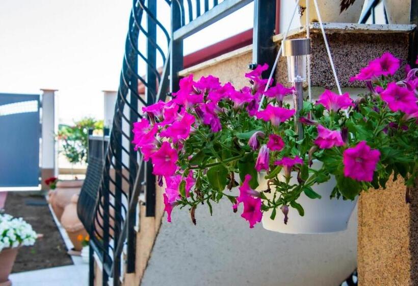 پانسیون Casa Livia