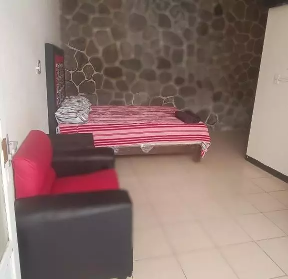 ペンション Hostal Y Hotel Familiar China Poblanan