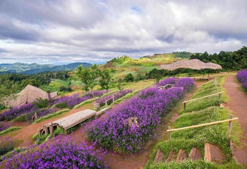 Курорт Phuchuanlong Monjam