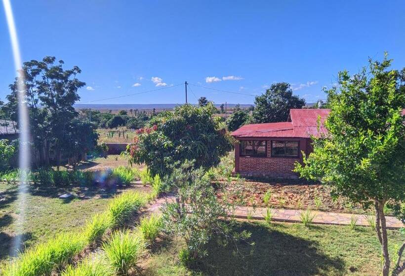 تختخواب و صبحانه Chambre D Hôte Ristorante Pizzeria Liberta