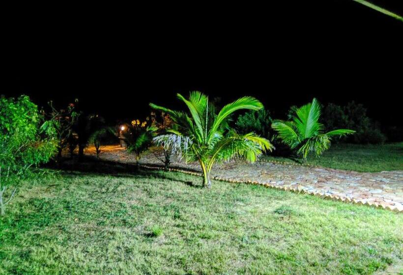 تختخواب و صبحانه Chambre D Hôte Ristorante Pizzeria Liberta