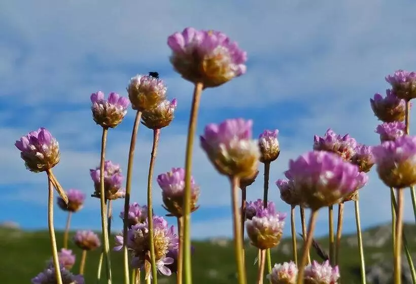 ホテル Picasso Chambre Privée Le Refuge Du Phoenix