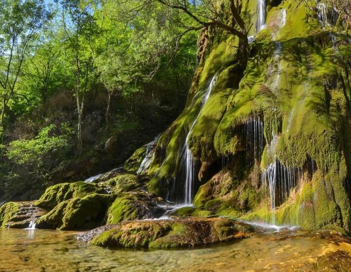 Hotel Picasso Chambre Privée Le Refuge Du Phoenix