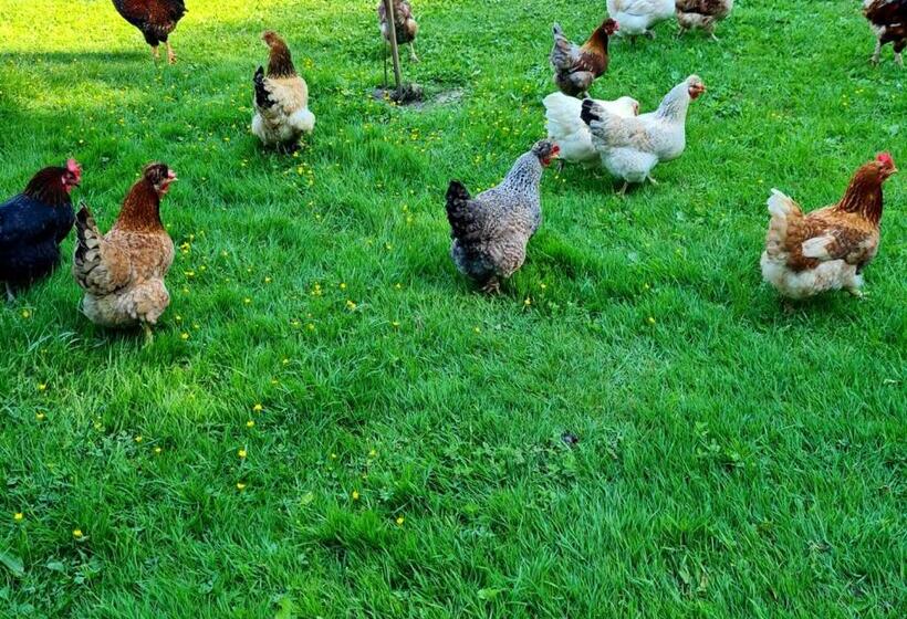 هتل Soba Tete Tile