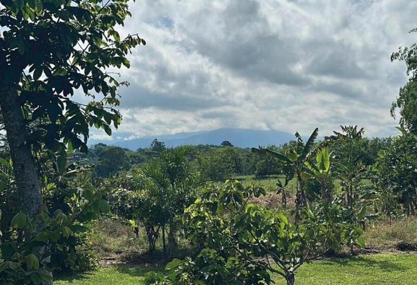 Pension El Cambuche Cafetero