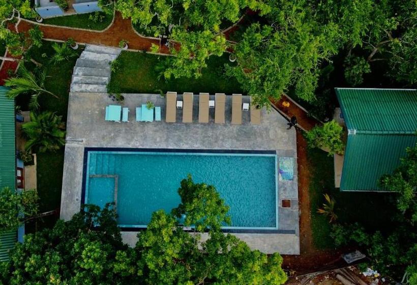 膳宿费 Maritime Nest Cabanas