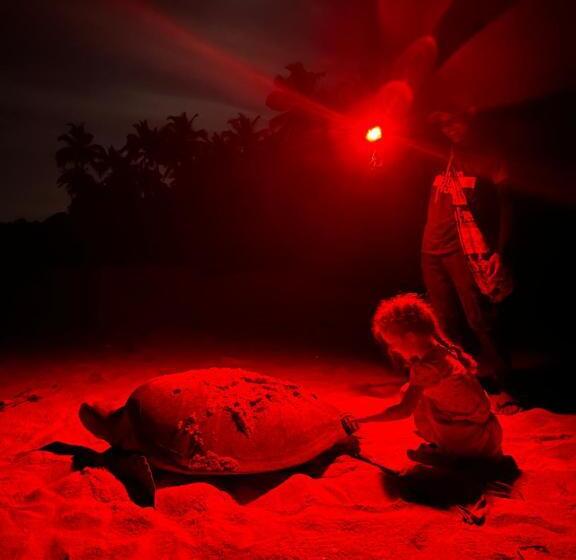 膳宿费 Maritime Nest Cabanas