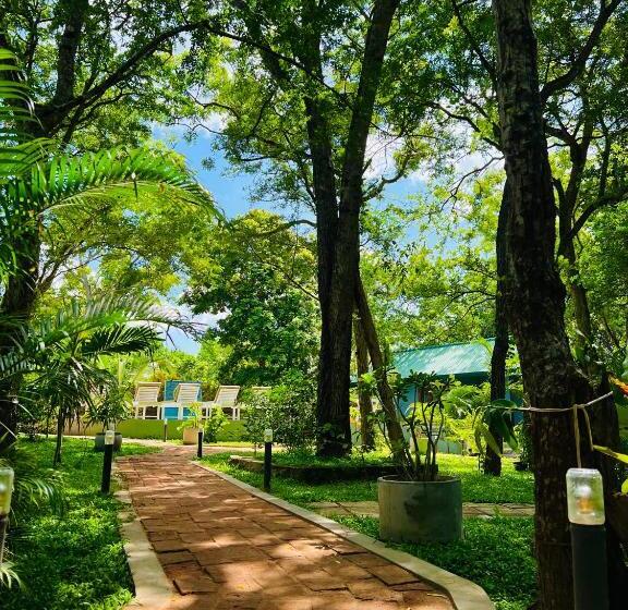 膳宿费 Maritime Nest Cabanas