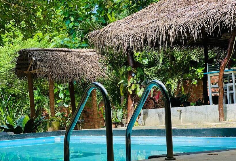 膳宿费 Maritime Nest Cabanas