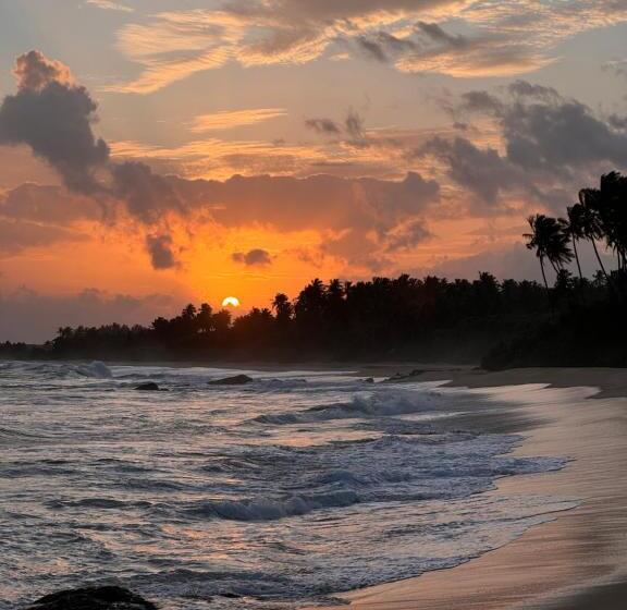 膳宿费 Maritime Nest Cabanas