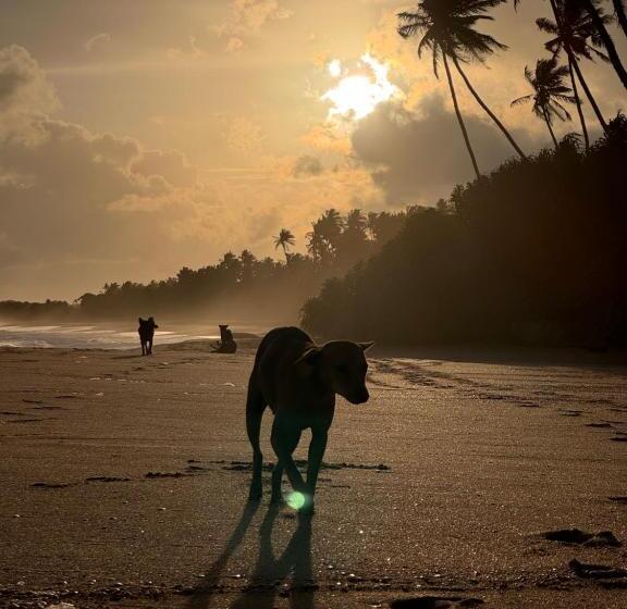 膳宿费 Maritime Nest Cabanas