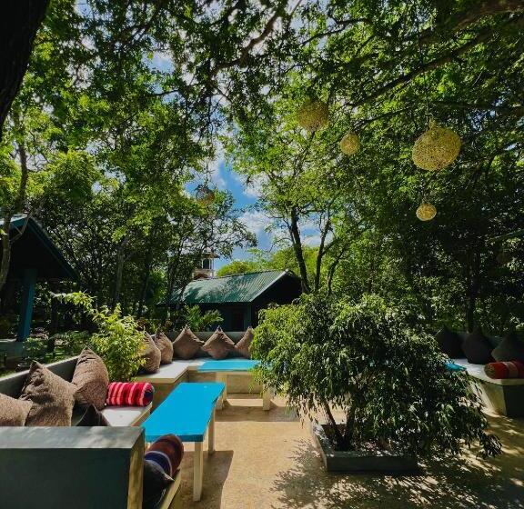 膳宿费 Maritime Nest Cabanas