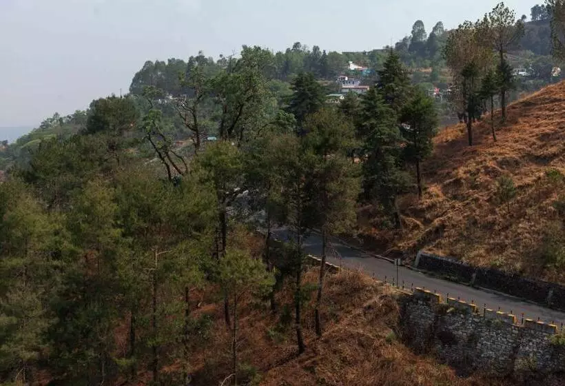 Alaya Stays Amara Aether Spacious Room With Scenic Views In Nainital