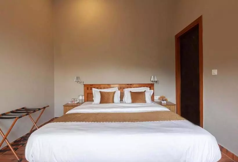 Alaya Stays Amara Aether Spacious Room With Scenic Views In Nainital