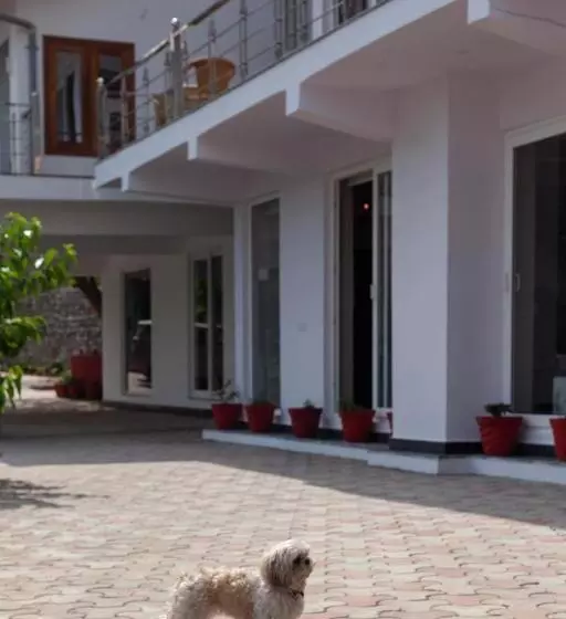 Alaya Stays Amara Aether Spacious Room With Scenic Views In Nainital