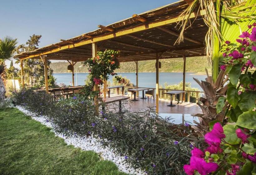 مبيت وإفطار Casa Bo Boğaziçi Butik Otel