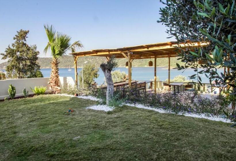 مبيت وإفطار Casa Bo Boğaziçi Butik Otel