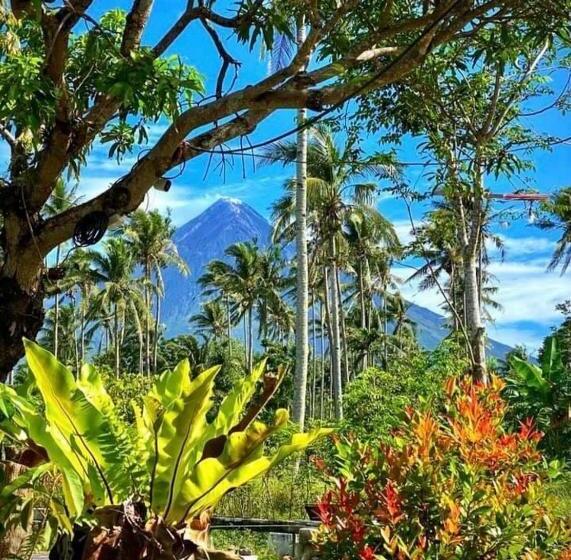 Nocleg ze śniadaniem Vals Farm Guesthouse