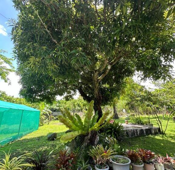 צימר Vals Farm Guesthouse