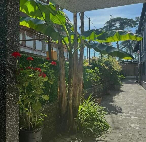 پانسیون Family Hotel 464