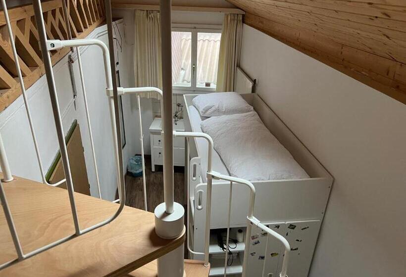 بنسيون Interlaken Saberana Studio 11