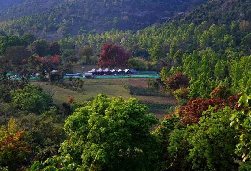リゾートホテル Baredi Eco Village