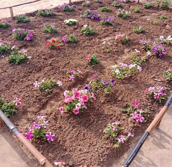 リゾートホテル Baredi Eco Village