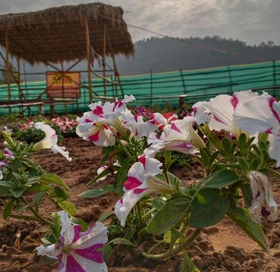 Resort Baredi Eco Village