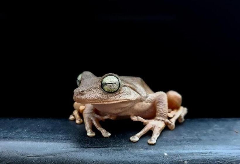 Bed & Breakfast Finca Turística Marquesa Wellness Hospedaje, Desayuno Y Day Spa