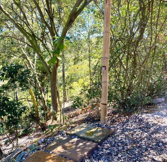 Bed and Breakfast Finca Turística Marquesa Wellness   Hospedaje, Desayuno Y Day Spa