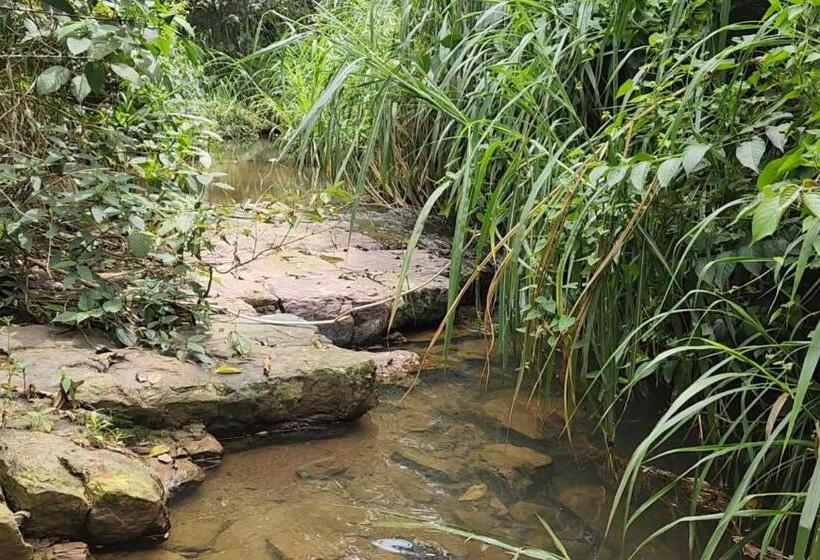 Bed & Breakfast Finca Turística Marquesa Wellness Hospedaje, Desayuno Y Day Spa