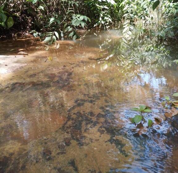 Bed & Breakfast Finca Turística Marquesa Wellness Hospedaje, Desayuno Y Day Spa