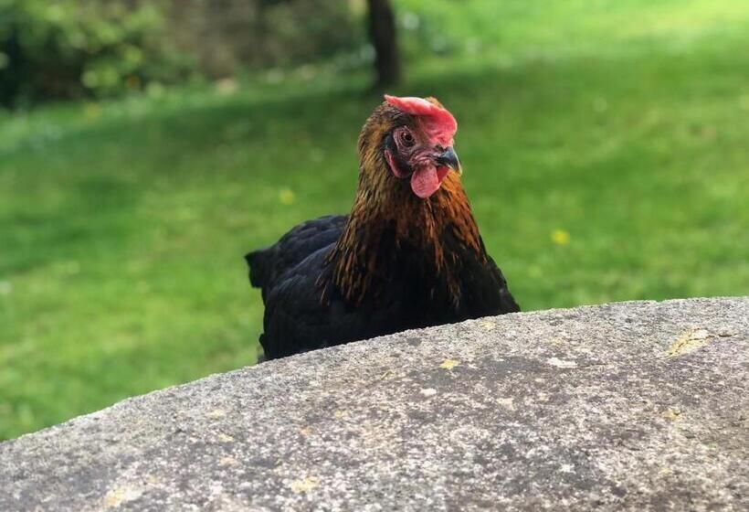 Bed and Breakfast Le Clos Des Songes