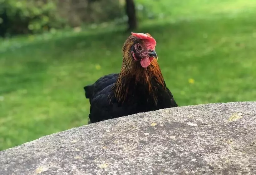 Aamiaismajoitus (B&B) Le Clos Des Songes