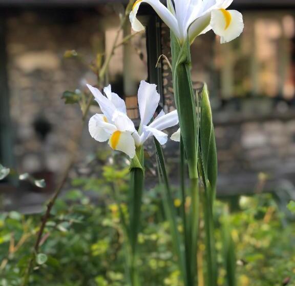 Bed and Breakfast Le Clos Des Songes
