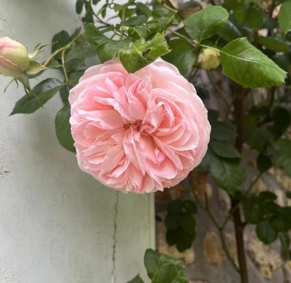 Bed and Breakfast Le Clos Des Songes