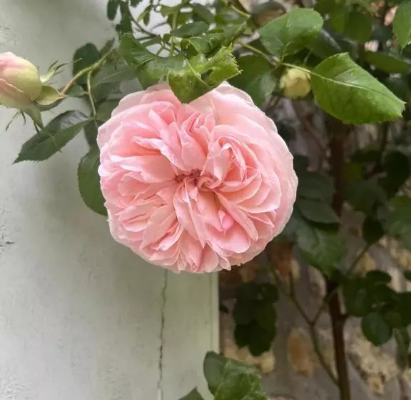 Aamiaismajoitus (B&B) Le Clos Des Songes