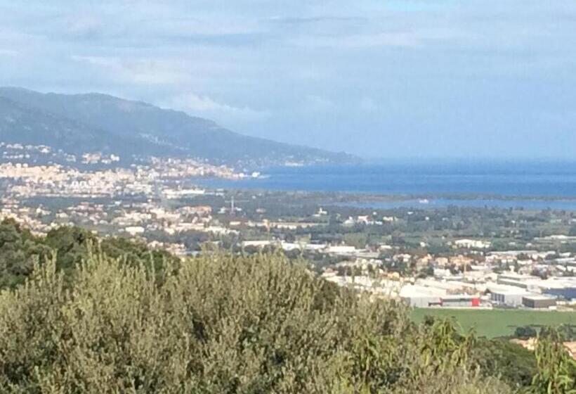 تختخواب و صبحانه Meacci