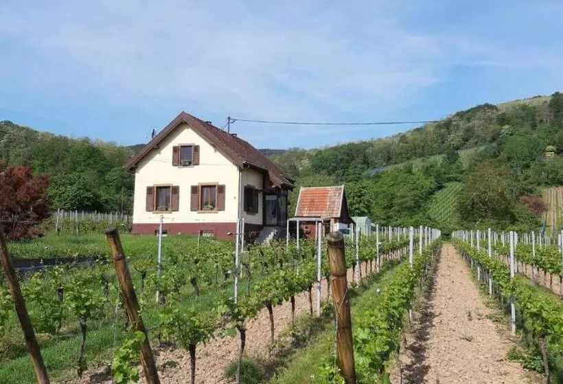 Dandelion Bed & Breakfast