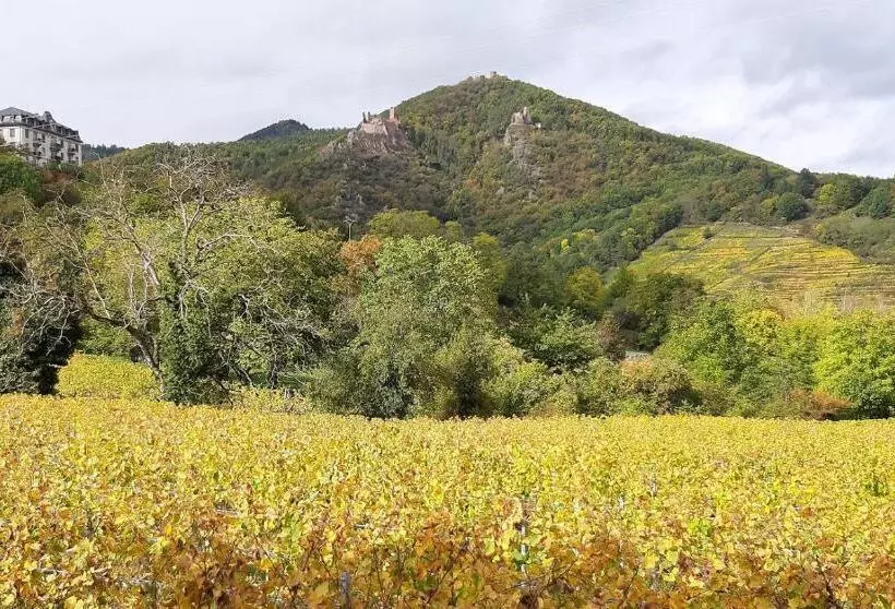 Dandelion Bed & Breakfast