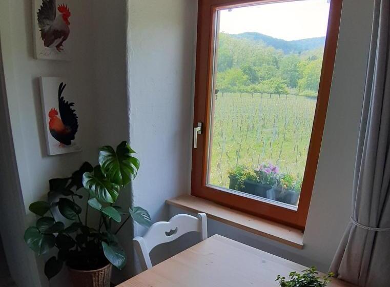 Dandelion Bed & Breakfast