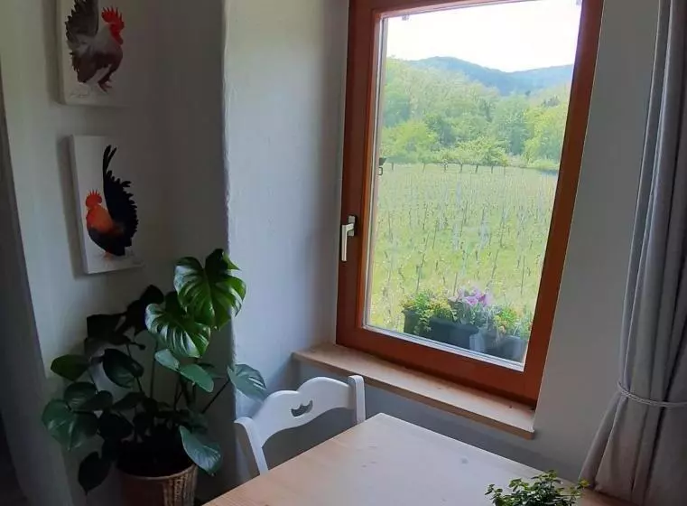 Dandelion Bed & Breakfast