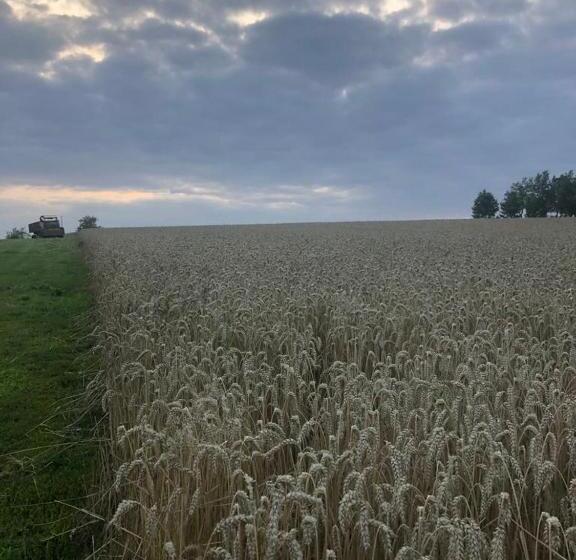 ホテル Au Coeur De Notre Ferme Céréalière